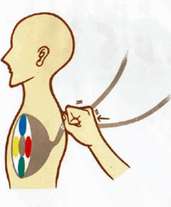 ���̈ʒu��